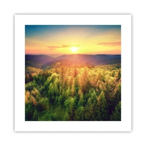 Pôster - Picos e cumes - 40x40 cm