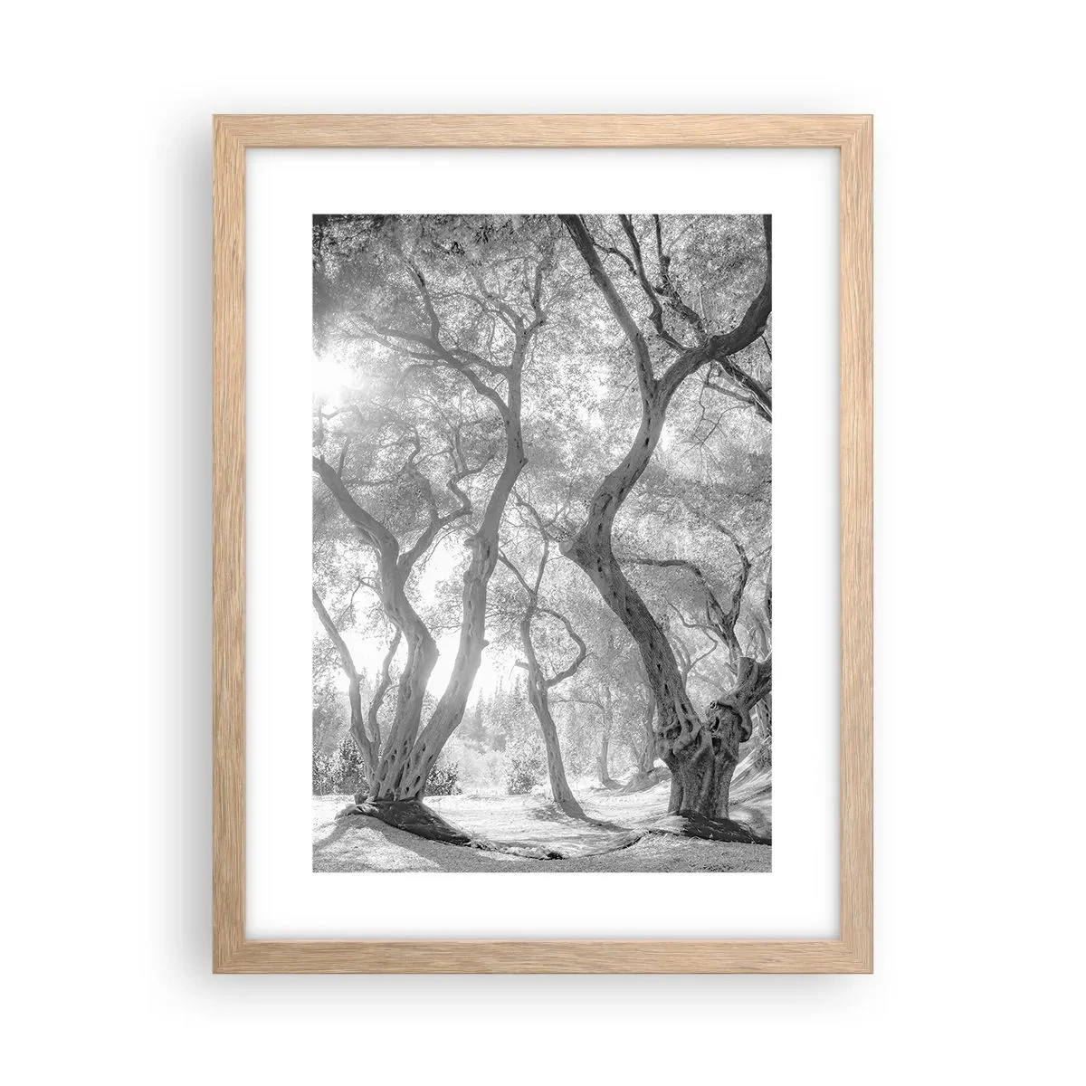 Pôster com moldura de carvalho claro - No olival - 30x40 cm