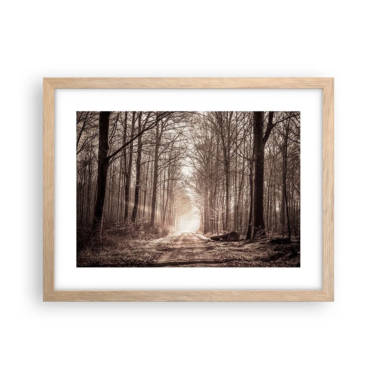 Pôster com moldura de carvalho claro - Catedral na Floresta - 40x30 cm