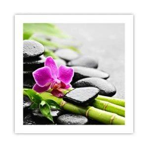 Pôster - Calmo equilíbrio - 50x50 cm