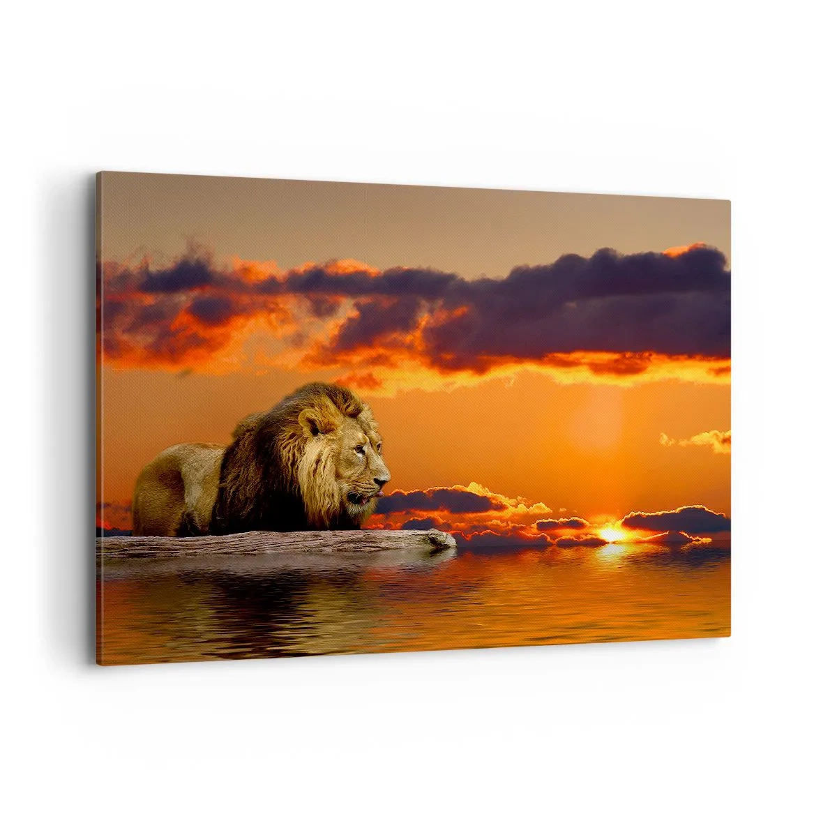 Quadro em tela - Rei da natureza - 120x80 cm