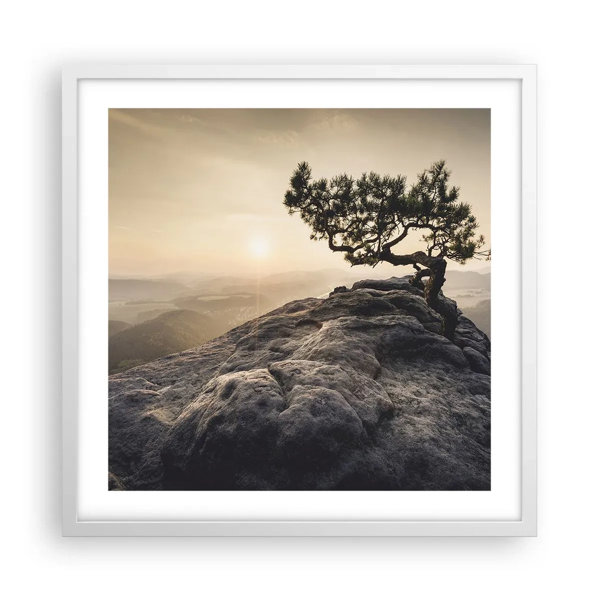 Pôster em moldura branca - A vida ganha sempre - 50x50 cm