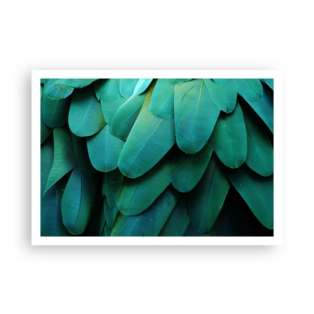 Pôster - Precisão de papagaio - 100x70 cm