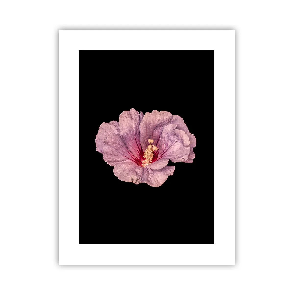 Pôster - Direto para o coração - 30x40 cm