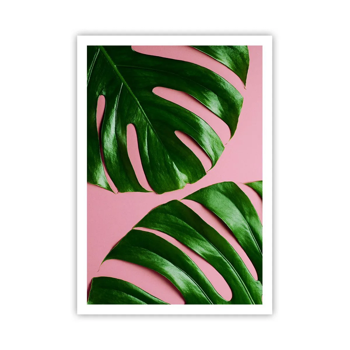 Pôster - Encontro verde - 70x100 cm
