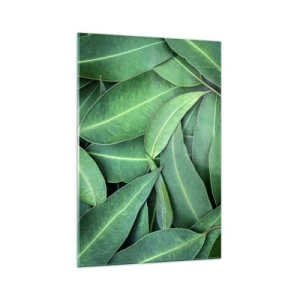 Quadro em vidro - Suculentas e frescas - 70x100 cm
