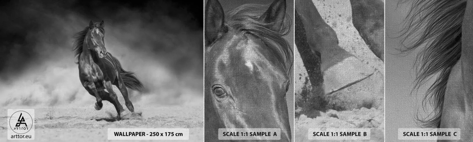 Amostra de papel de parede Premium Canvas - Digno do próprio emir - Cavalo, Animais, Natureza - 100x30 cm