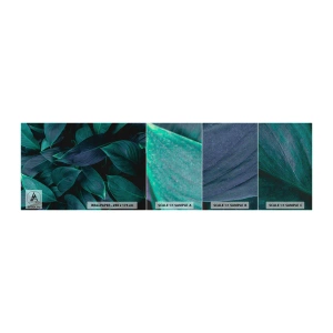 Amostra de papel de parede Premium Canvas - Verde em si - Folhas, Natureza, Botânica - 100x30 cm
