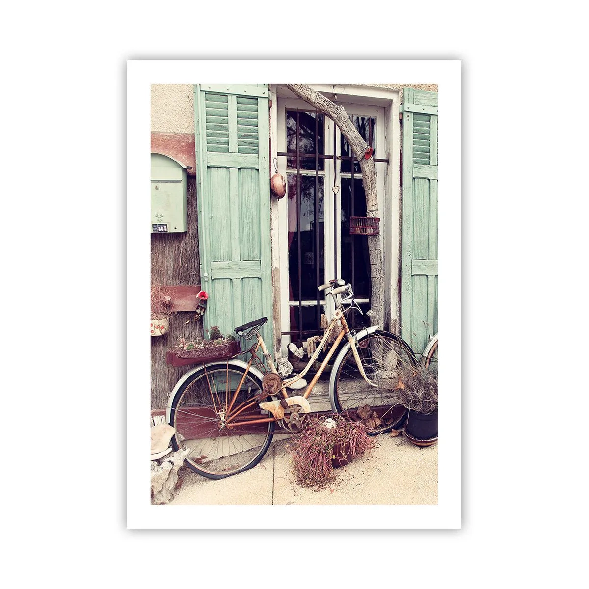 Pôster - Viva a província - 50x70 cm