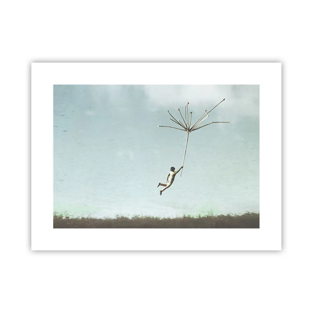 Pôster - Papagaios, balões, vento - 40x30 cm