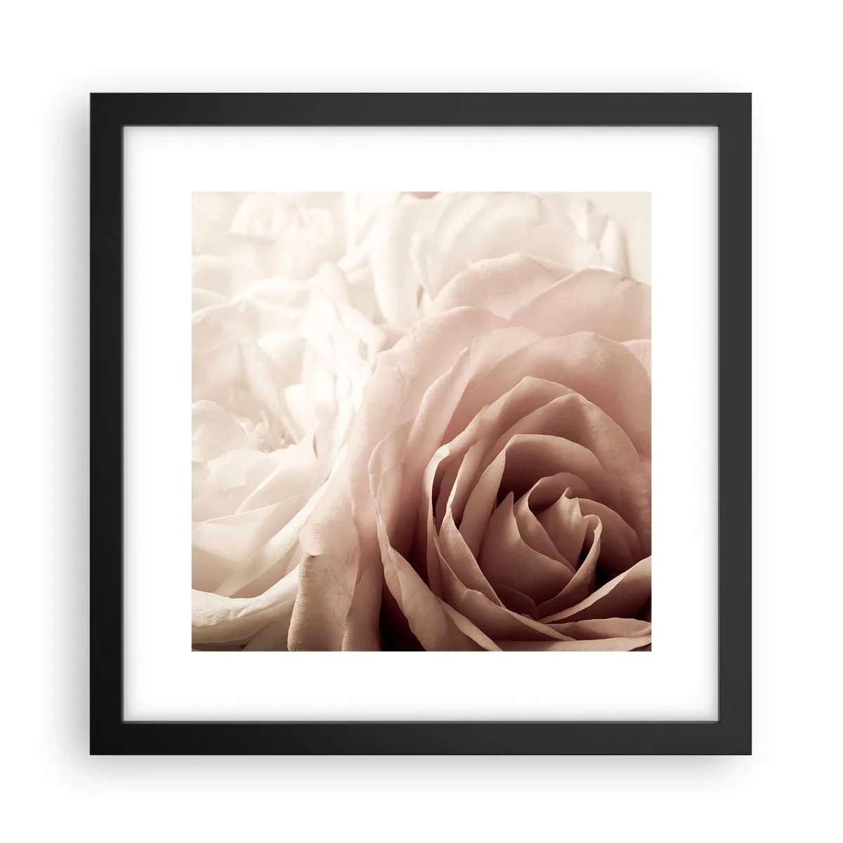 Pôster com moldura preta - No coração de uma rosa - 30x30 cm