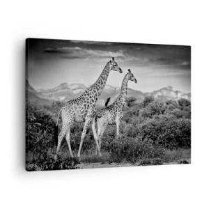 Quadro em tela - Silhuetas em preto e branco de duas girafas na savana - 70x50cm - Alta Sociedade na África - Decoração de parede moderna para a sala de estar e quarto ARTTOR