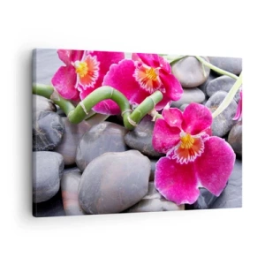 Quadro em tela - Orquídeas cor de rosa sobre um fundo de pedras lisas - 70x50cm - Frio e calor - Decoração de parede moderna para a sala de estar e quarto ARTTOR