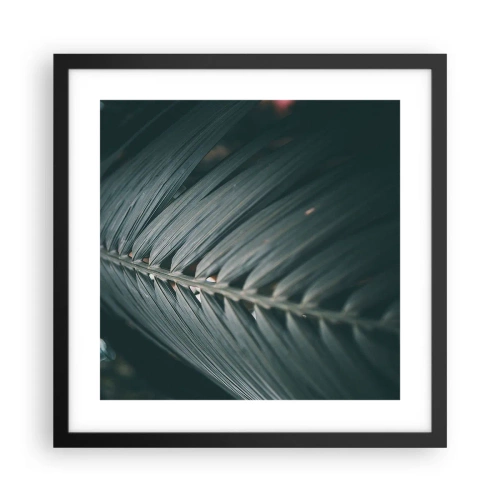 Pôster com moldura preta - A precisão da natureza - 40x40 cm