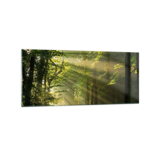 Quadro em vidro - Momento florestal - 120x50 cm