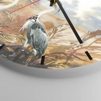 Mostrador com traços