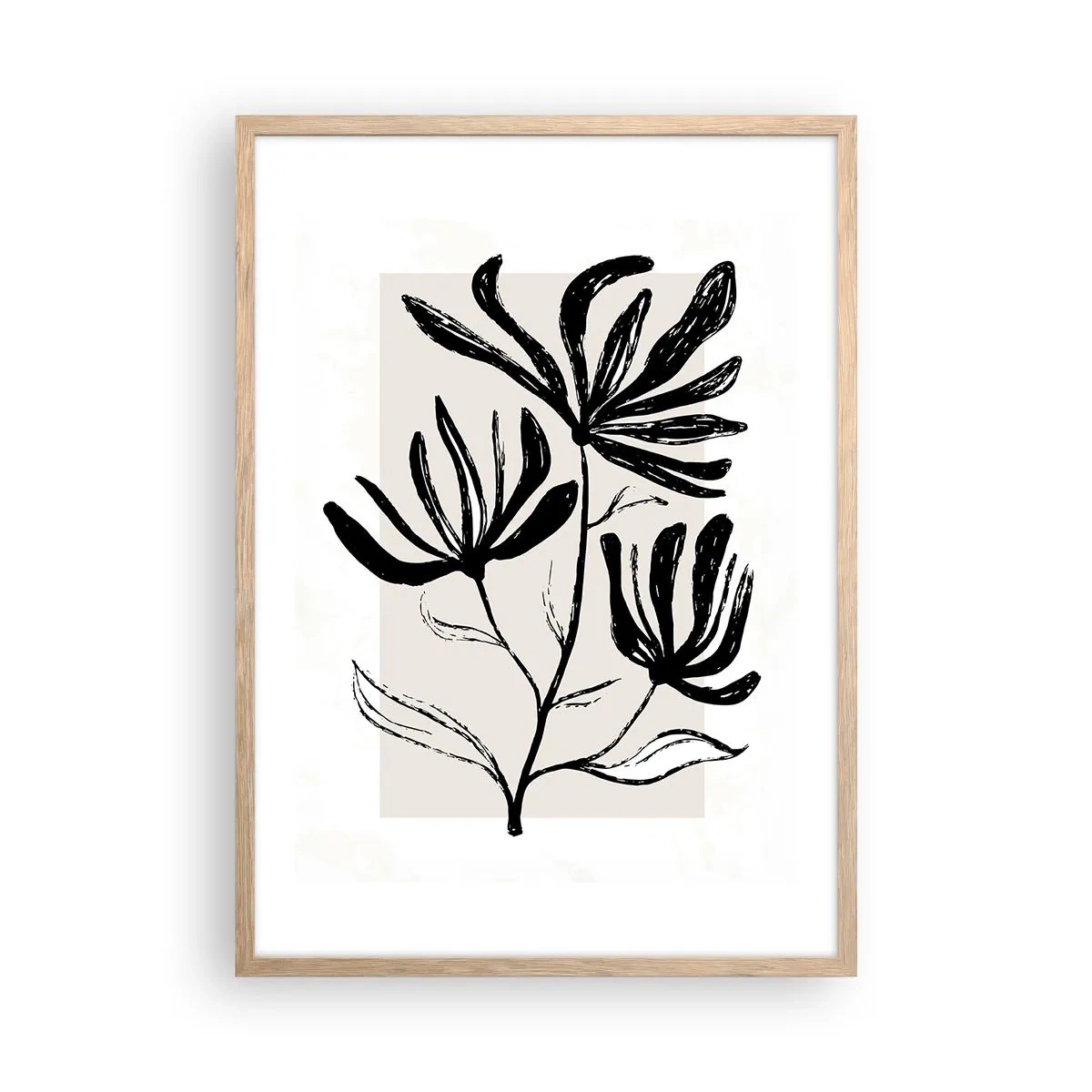 Pôster com moldura de carvalho claro - Esboço para o herbário - 50x70 cm