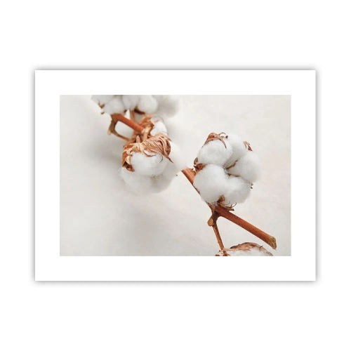 Pôster - Apenas acaricie - 40x30 cm