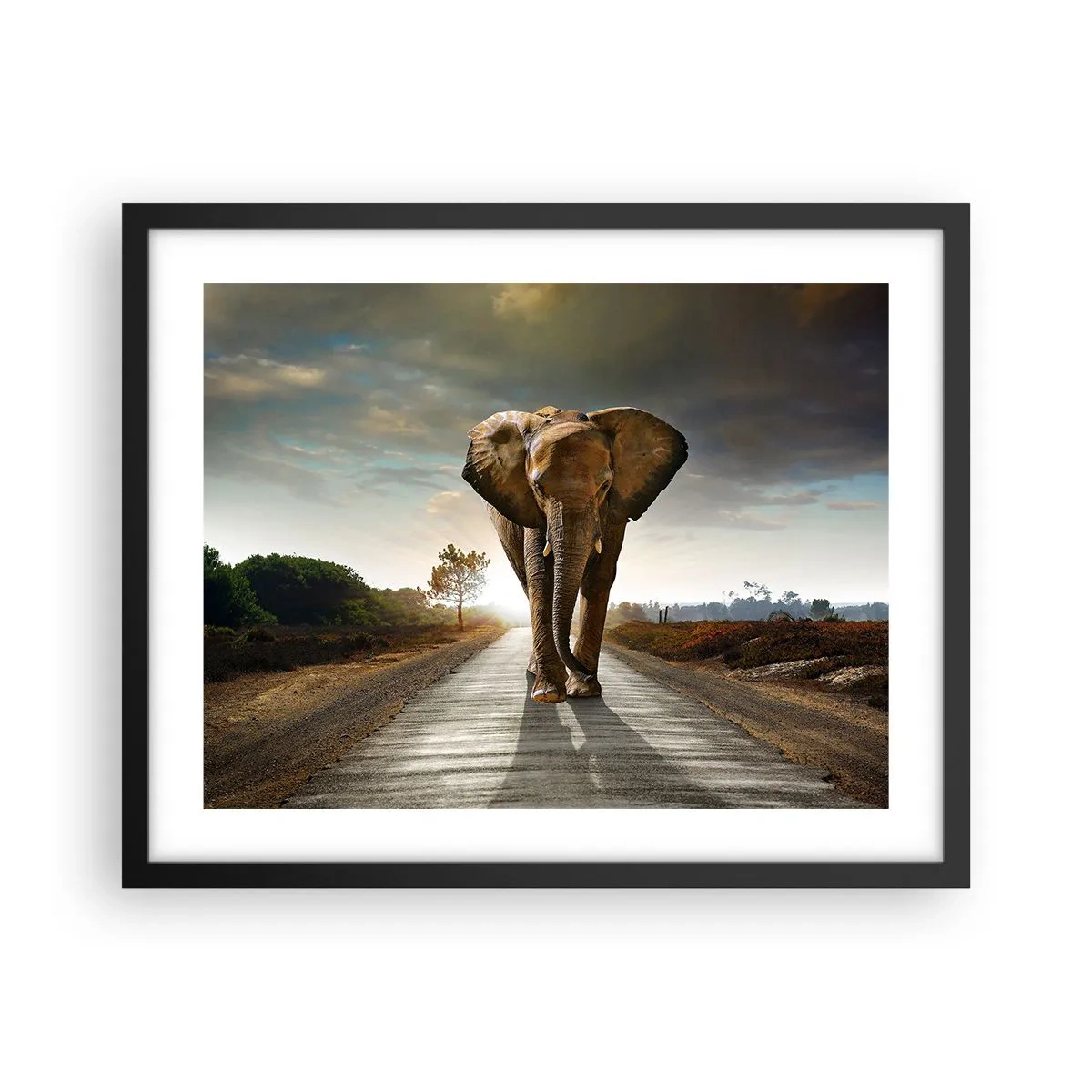 Pôster com moldura preta - Não faz parte da composição da porcela - 50x40 cm