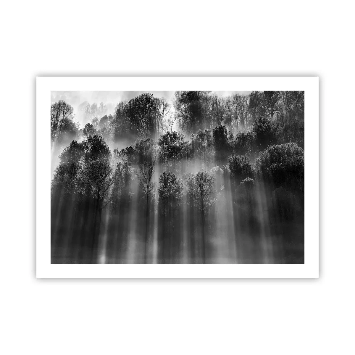 Pôster - Em correntes de luz - 70x50 cm