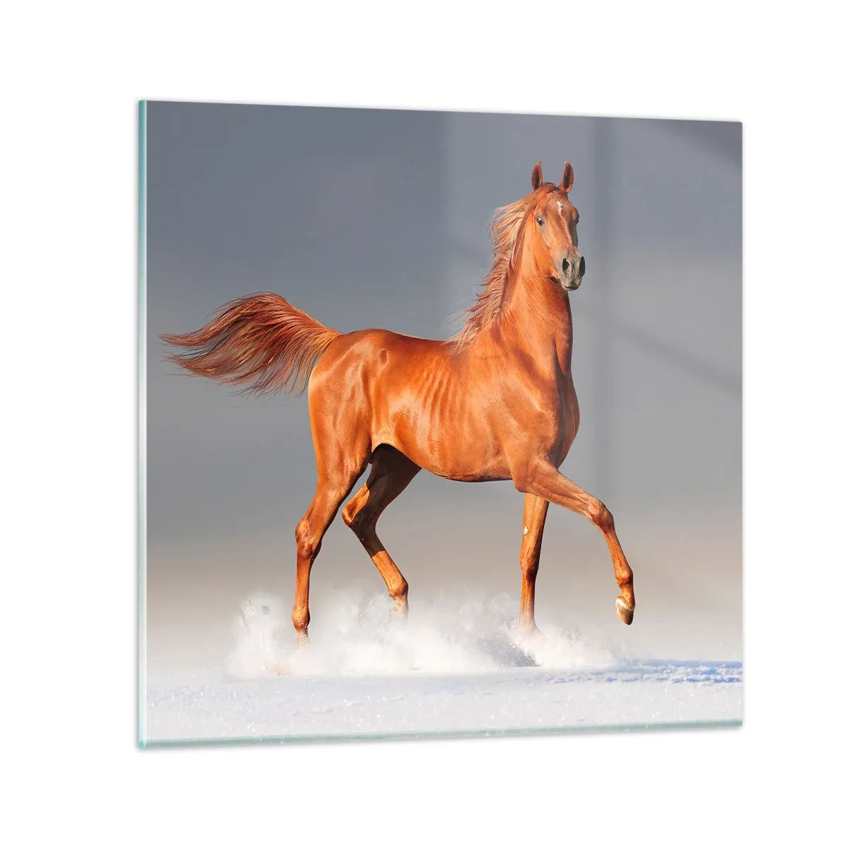 Quadro em vidro - Graça Dançante - 50x50 cm