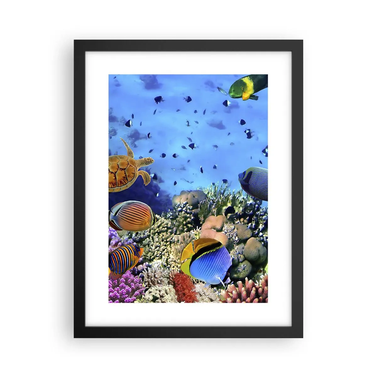 Pôster com moldura preta - E o que sabemos sobre a vida... - 30x40 cm