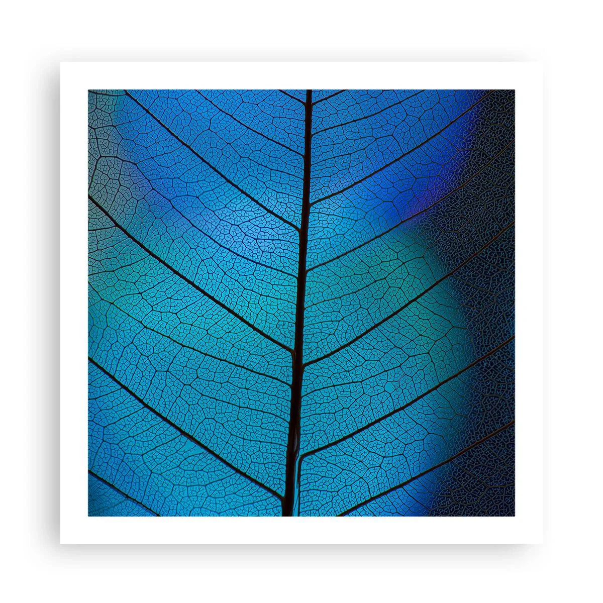 Pôster - Construção complexa - 60x60 cm