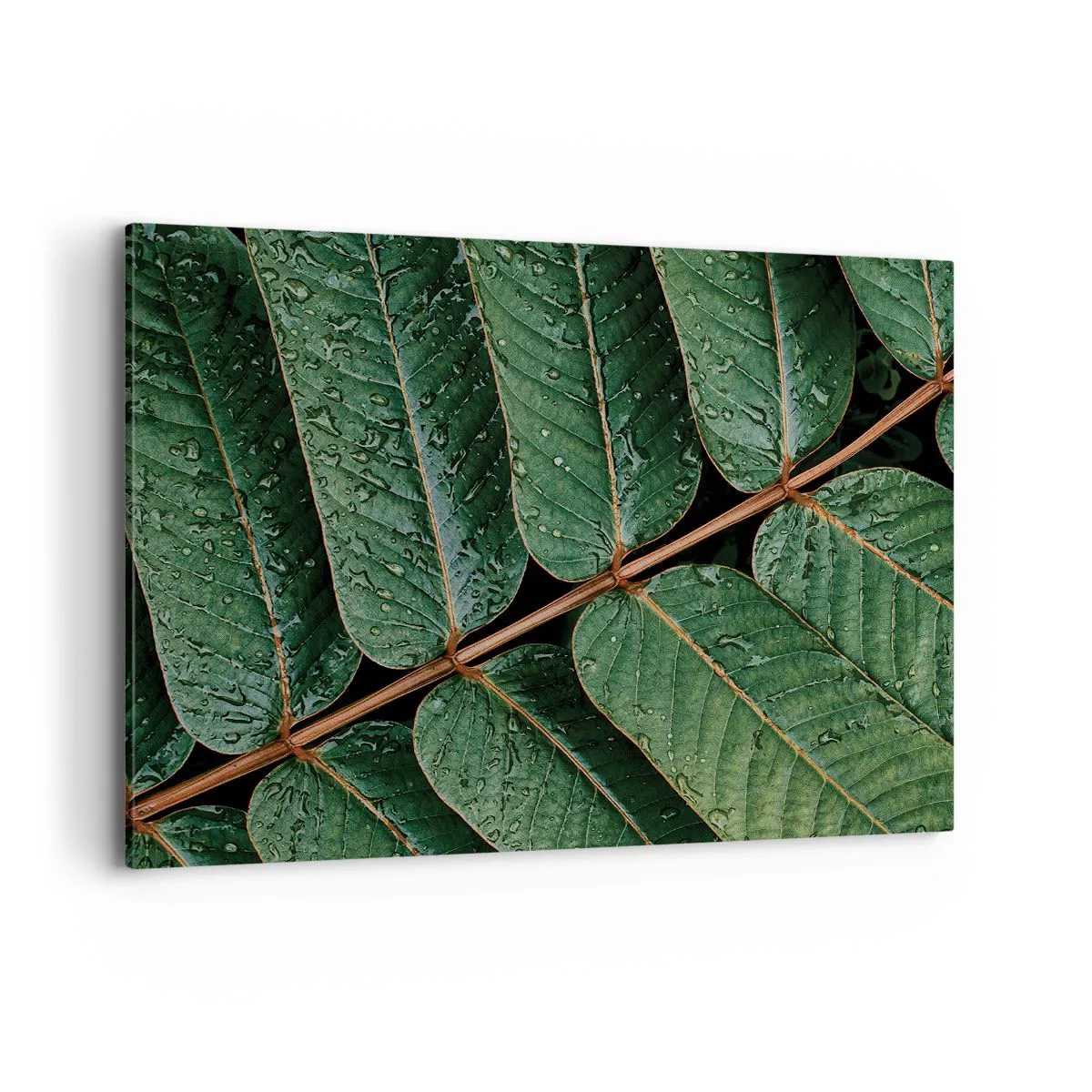 Quadro em tela - Num ritmo verde - 100x70 cm