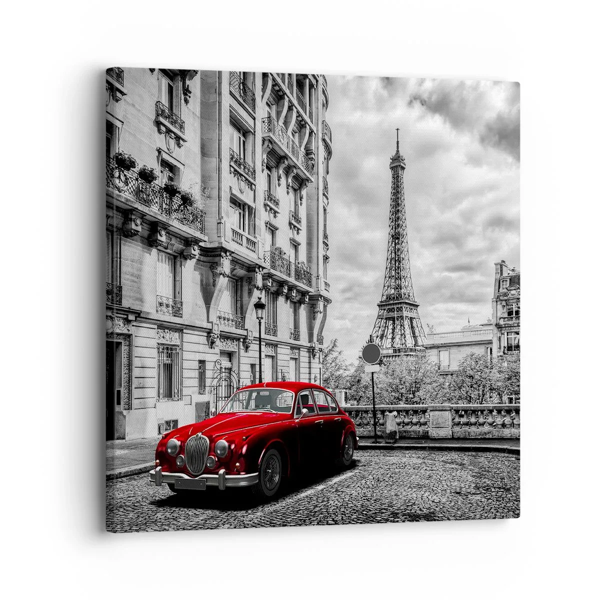 Quadro em tela - Predador na cidade - 30x30 cm