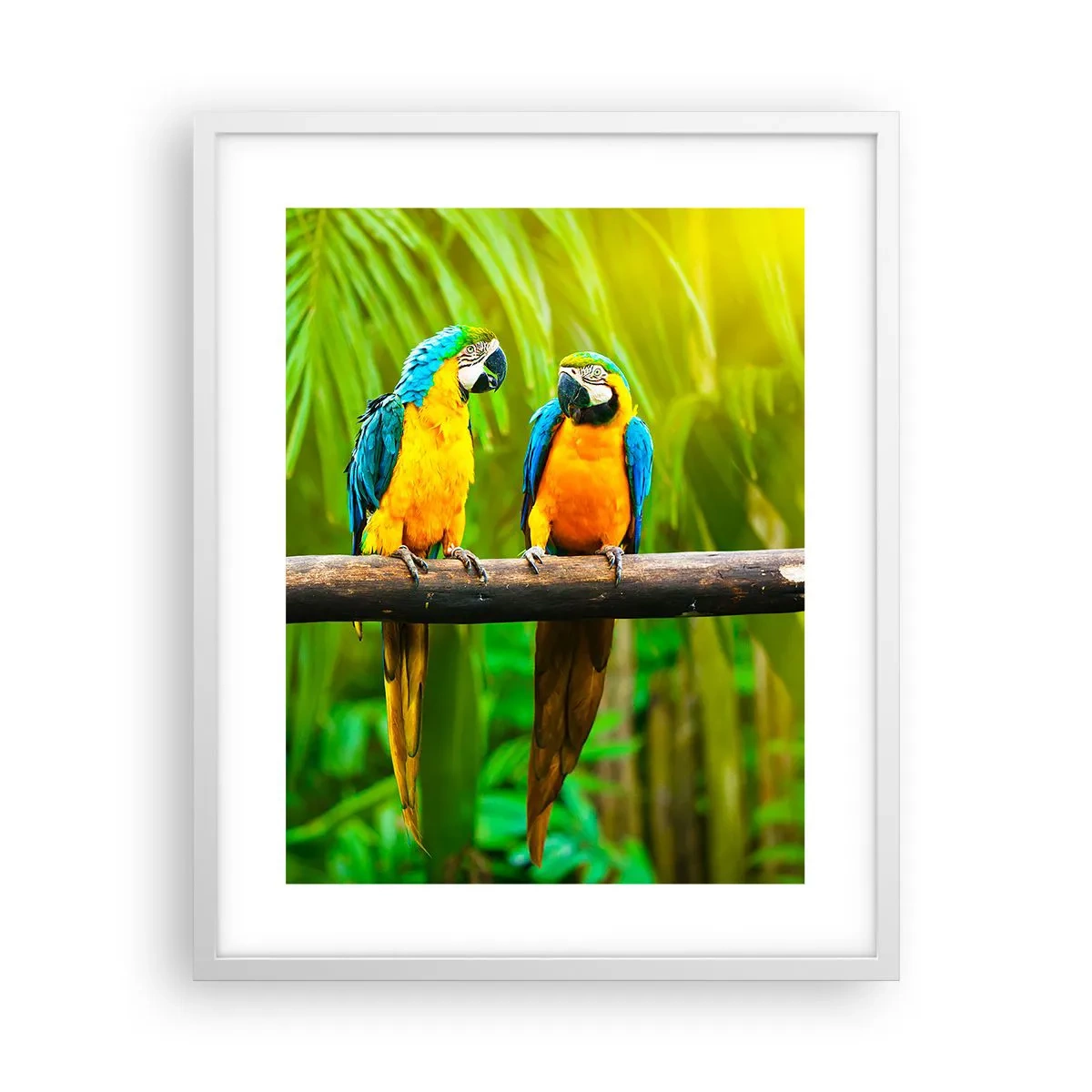 Pôster em moldura branca - E ouviste dizer que ela...? - 40x50 cm