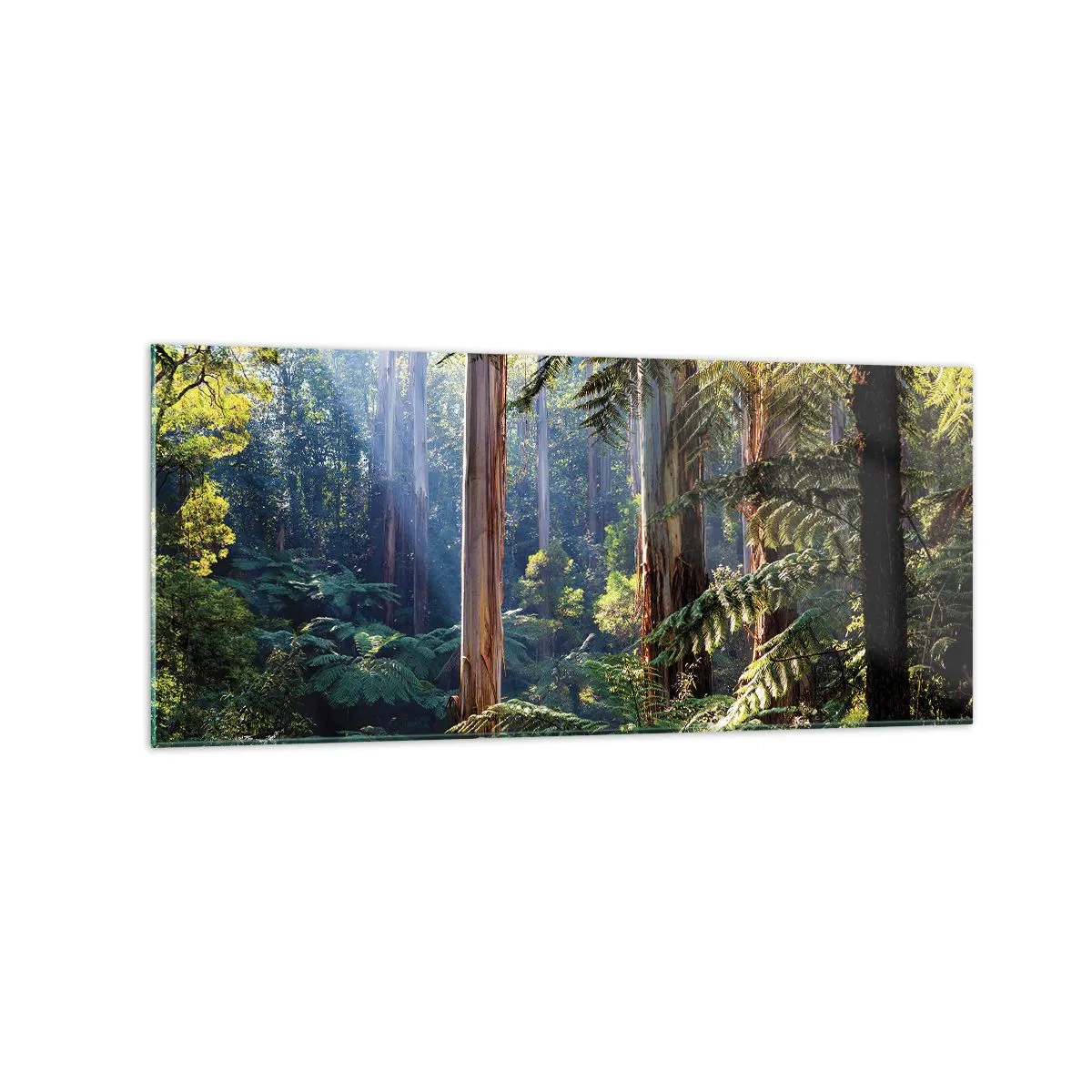 Quadro em vidro - Um conto de fadas da floresta - 120x50 cm