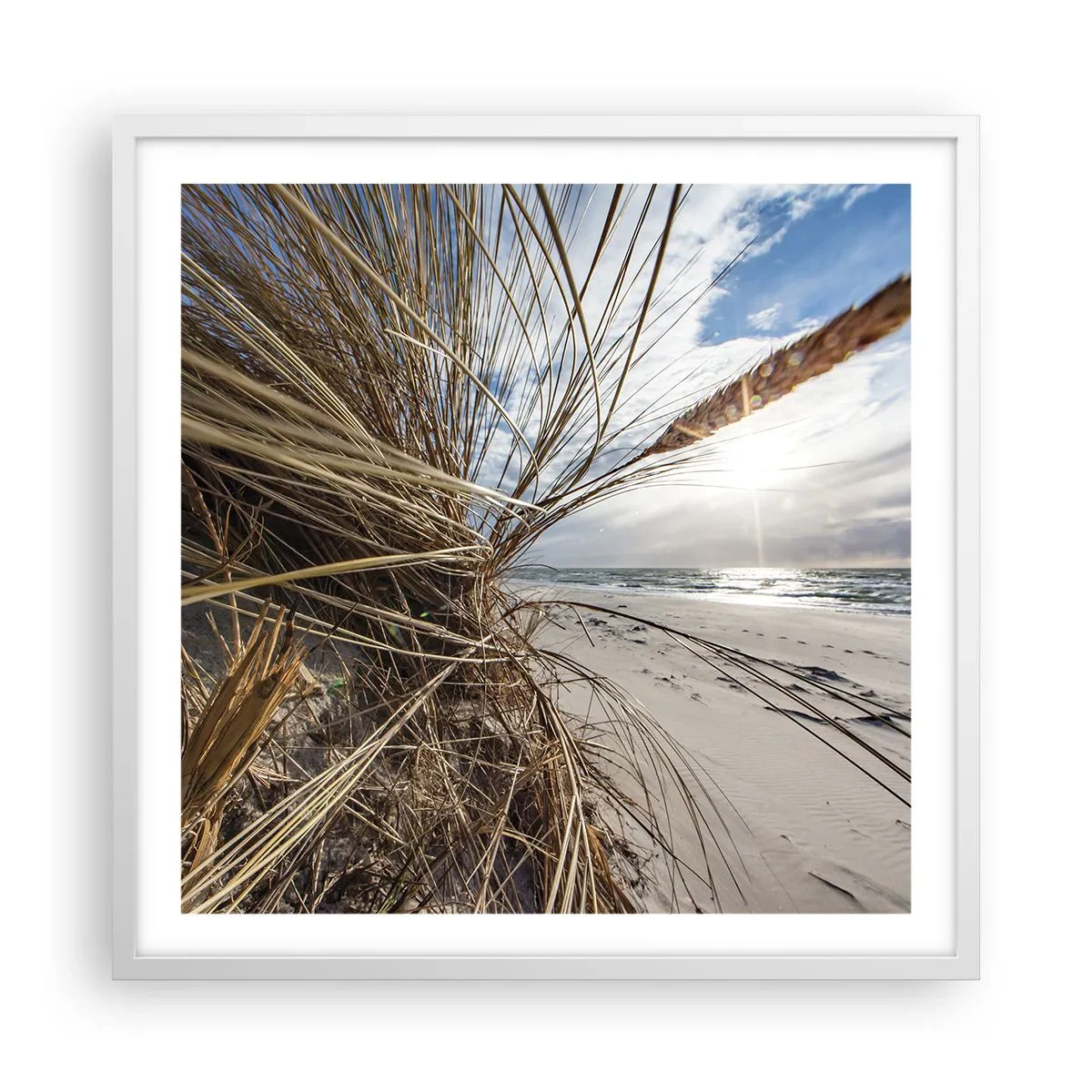 Pôster em moldura branca - Reunião dos rlementos da natureza - 60x60 cm