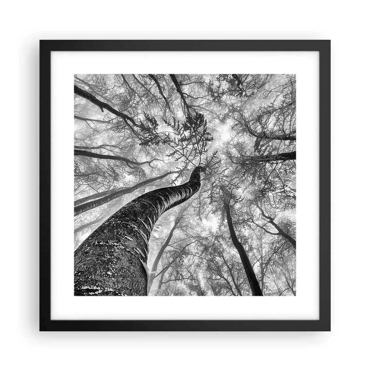 Pôster com moldura preta - Corrida até a luz - 40x40 cm