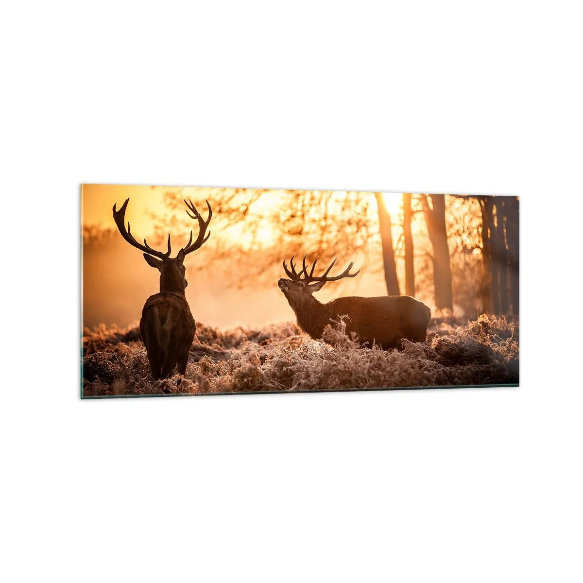 Quadro em vidro - O sonho do caçador - 120x50 cm