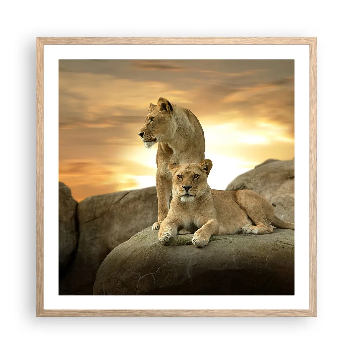 Pôster com moldura de carvalho claro - Majestade real - 60x60 cm