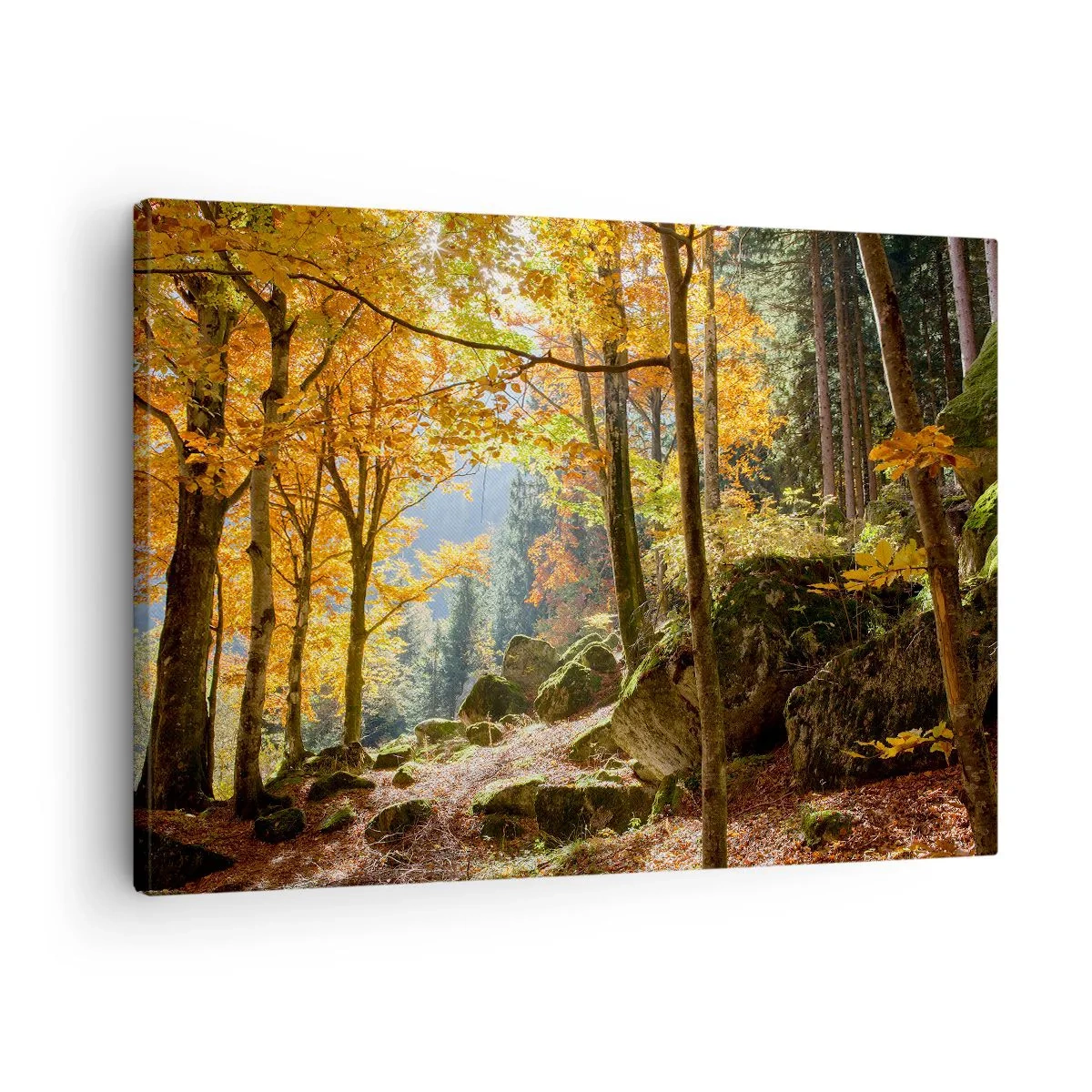 Quadro em tela - Uma floresta de outono cheia de folhas douradas e luz do sol - 70x50cm - Tempo para descansar - Decoração de parede moderna para a sala de estar e quarto ARTTOR