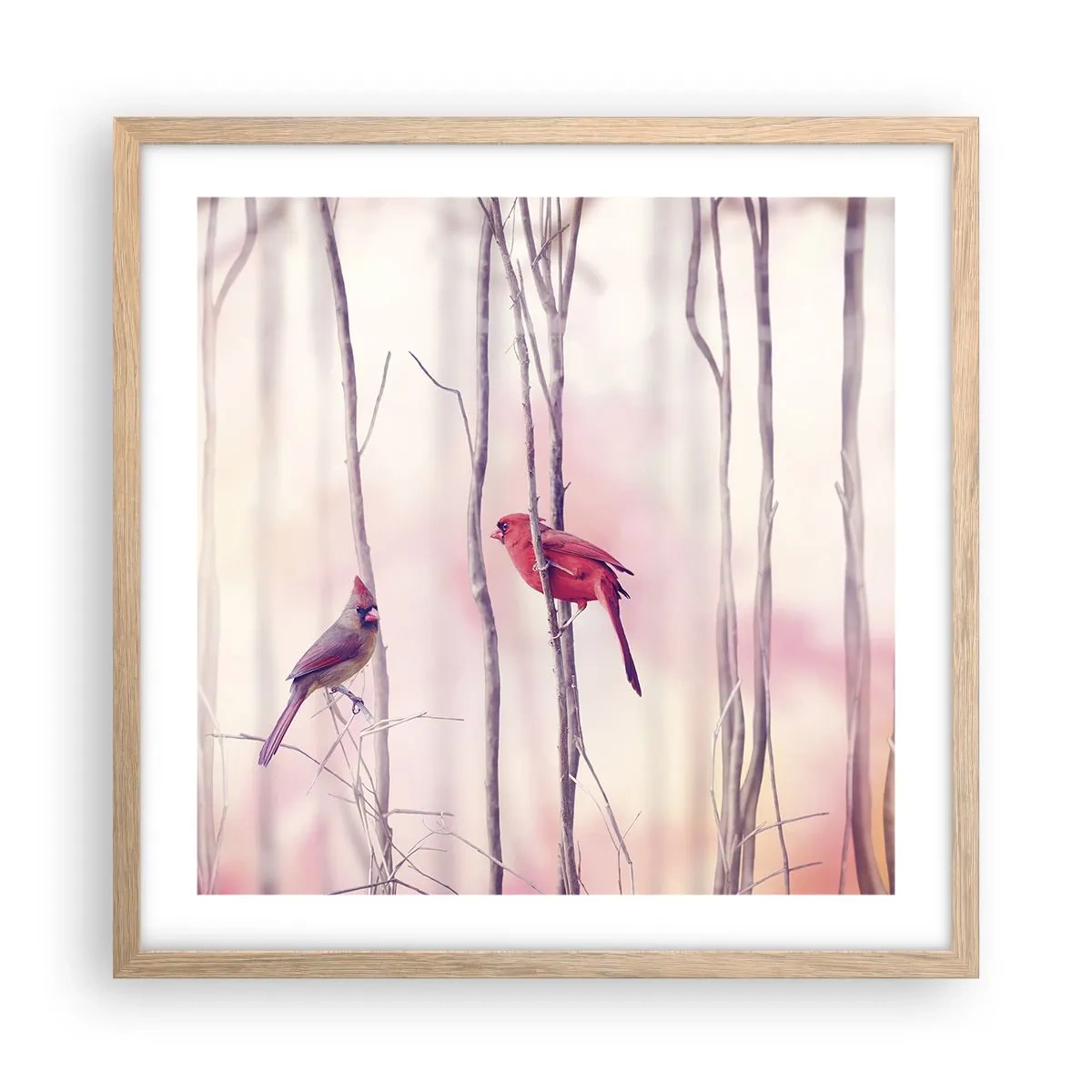 Pôster com moldura de carvalho claro - O Conto da floresta rosa - 50x50 cm