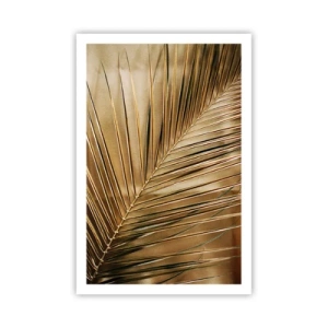 Pôster - Colunata natural - 61x91 cm