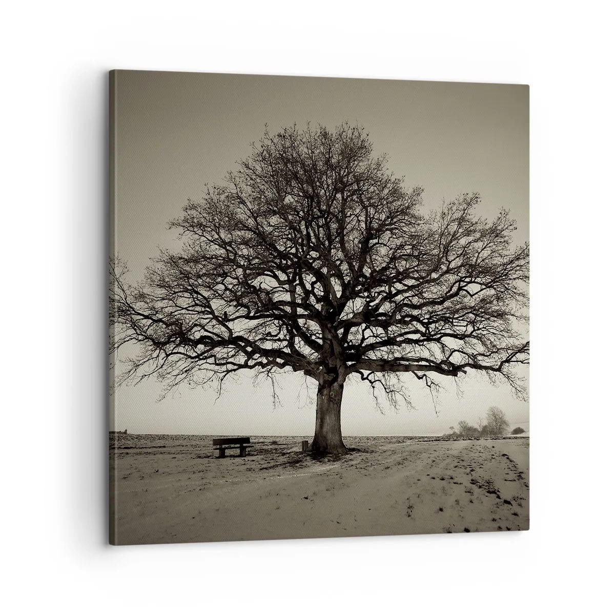 Quadro em tela - Daqui para a eternidade - 60x60 cm