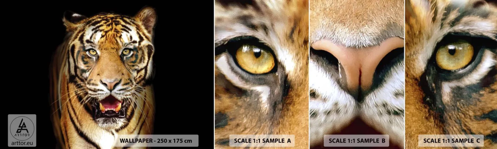 Amostra de papel de parede autocolante Deluxe Sticker - Coração selvagem - Animais, Tigre, Predador - 100x30 cm