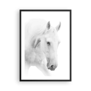 Pôster com moldura preta - Retrato de um cavalo branco em estilo minimalista - 50x70cm - Será amizade...? - Decoração de parede moderna para a sala de estar e quarto ARTTOR