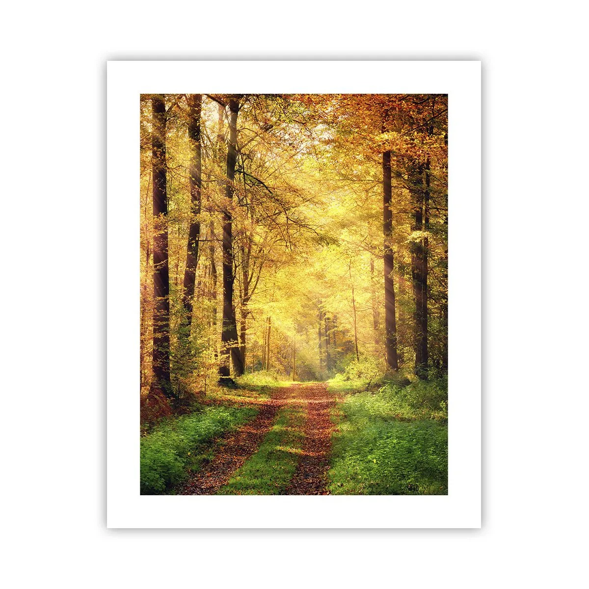 Pôster - Silêncio dourado da floresta - 40x50 cm