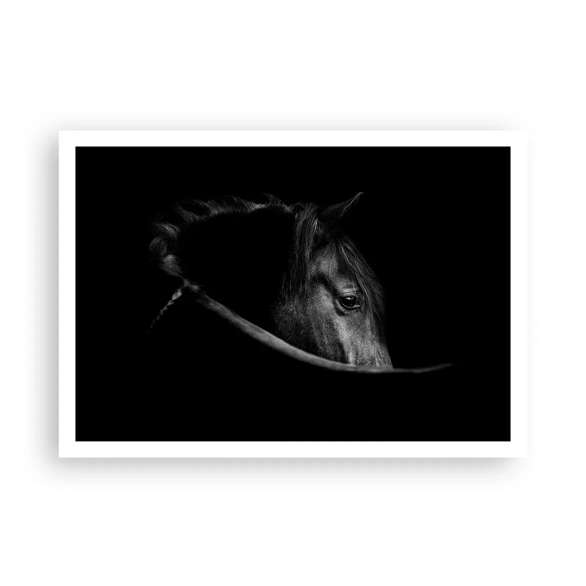 Pôster - Príncipe Negro - 100x70 cm