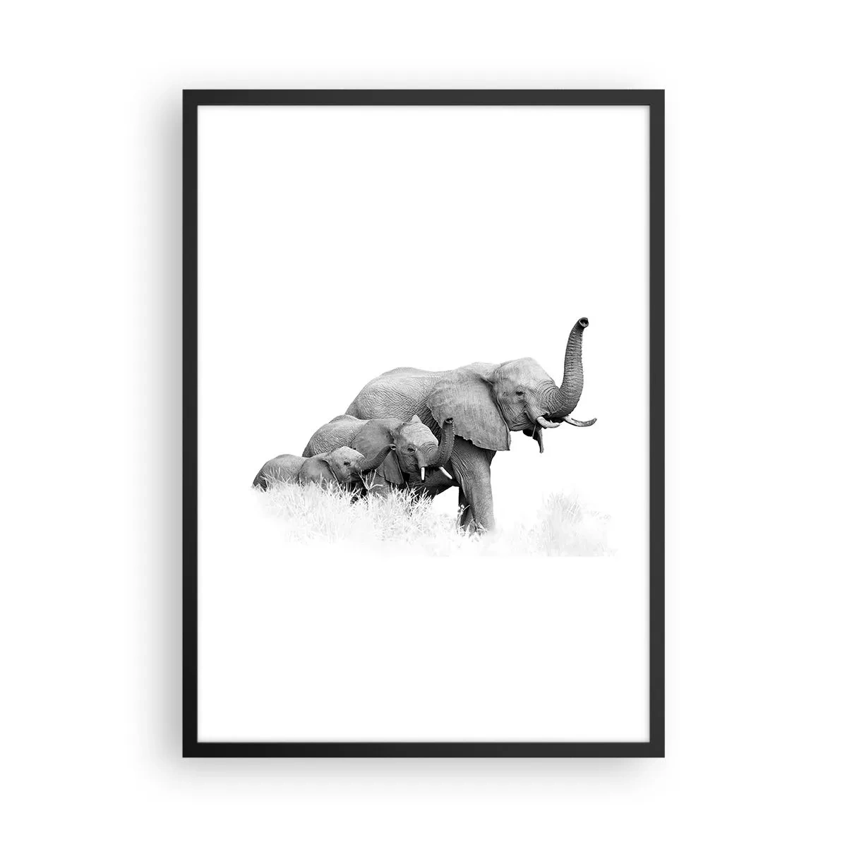 Pôster com moldura preta - Um retrato em preto e branco de uma família de elefantes na savana. - 50x70cm - Um, dois, três - Decoração de parede moderna para a sala de estar e quarto ARTTOR