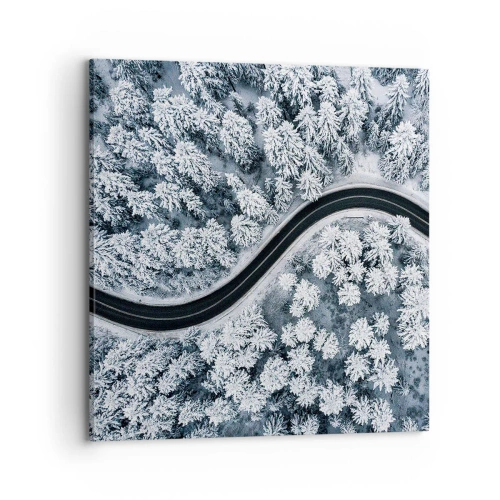 Quadro em tela - Pelaa floresta no inverno - 70x70 cm