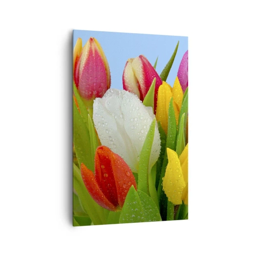 Quadro em tela - Arco-íris floral em gotas de orvalho - 80x120 cm