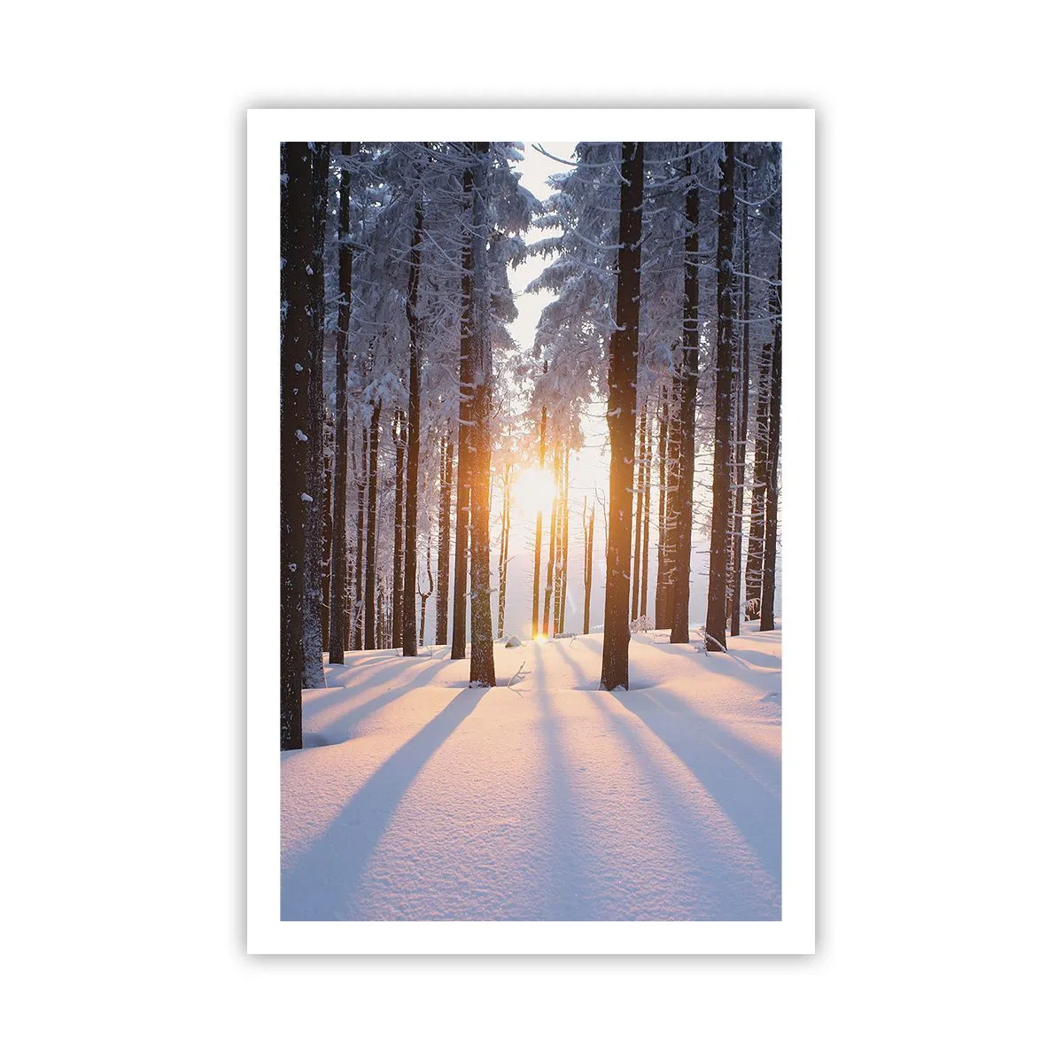 Pôster - Preto no branco - 61x91 cm