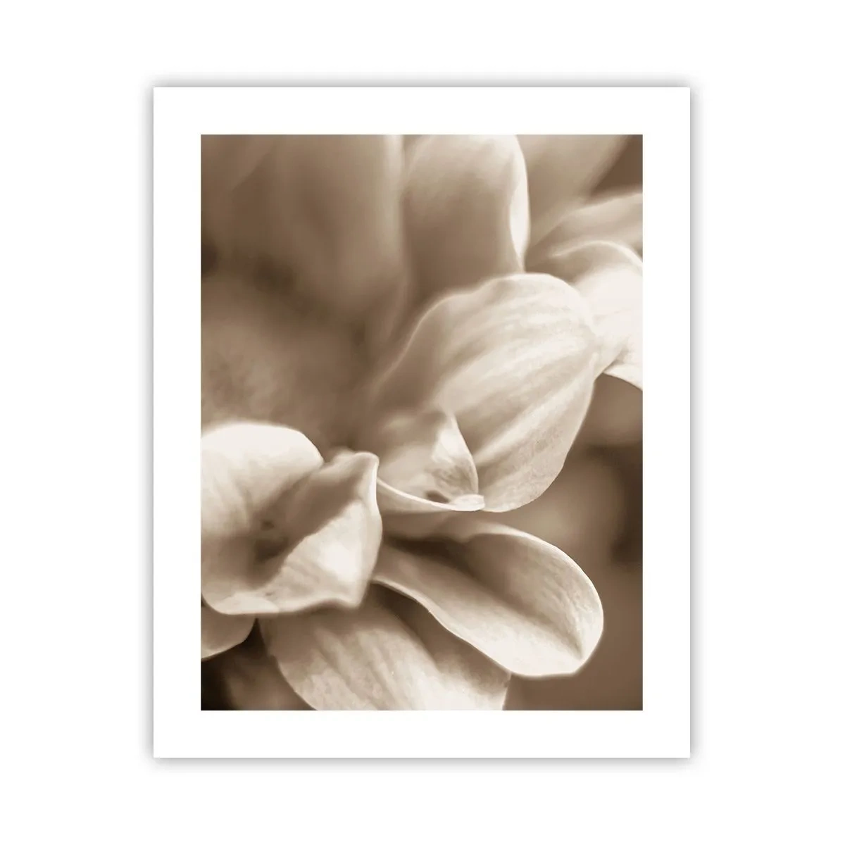 Pôster - Gentil como um sorriso - 40x50 cm