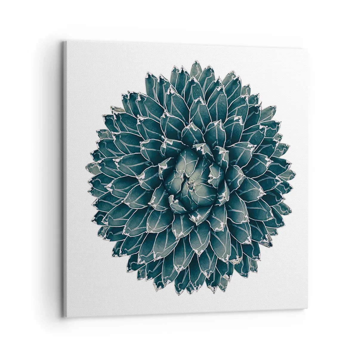 Quadro em tela - Estrela do Deserto - 50x50 cm