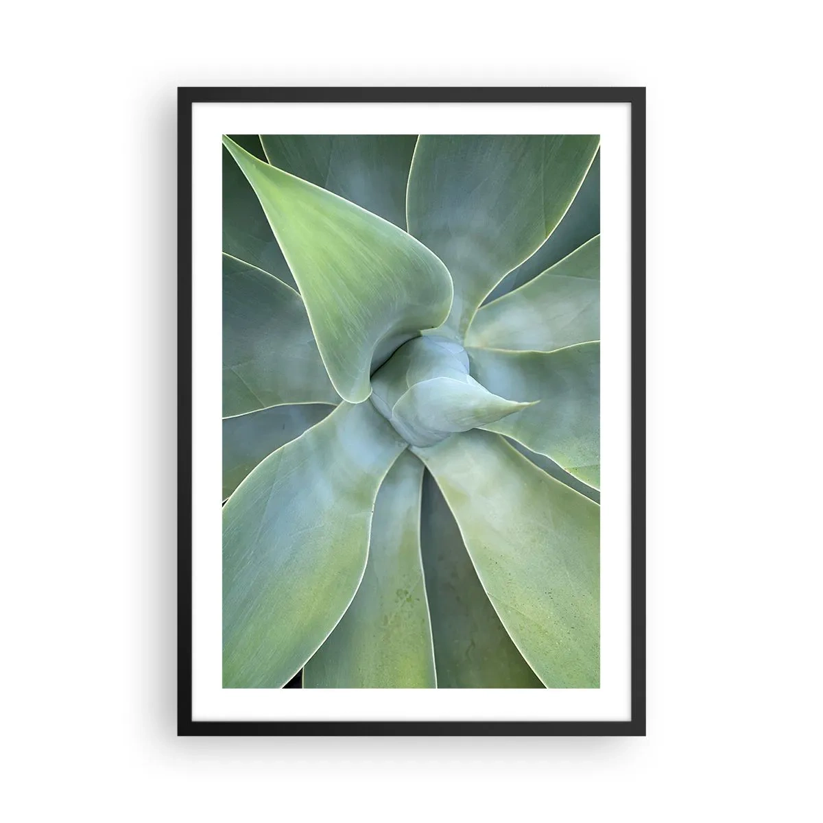 Pôster com moldura preta - Close-up de folhas suculentas simétricas - 50x70cm - O nascimento da vegetação - Decoração de parede moderna para a sala de estar e quarto ARTTOR